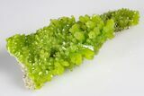 Apple-Green Pyromorphite Crystal Cluster - China #179812-2